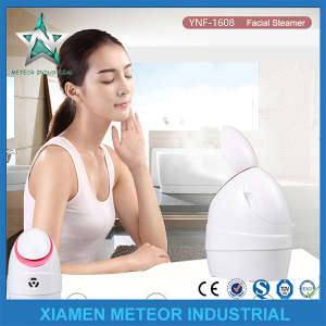 Home Use Portable Mist Sprayer Anion Facial Humidifier Beauty Instrument