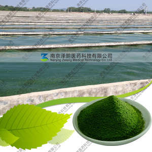 Spirulina Powder for Animals Feed