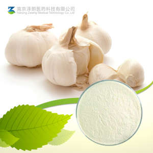 Factory Supply Natural Garlic Extract 6% Allicin